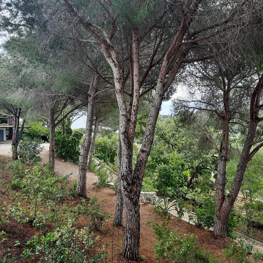Villa Leonida Capoliveri  Capoliveri (Isola d'Elba)